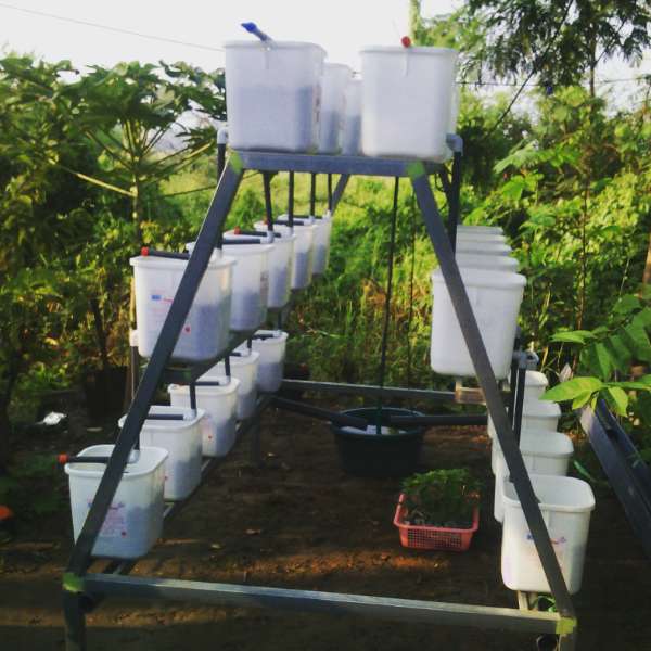 Supplier Peralatan Hidroponik Terdekat dengan anda - adasale