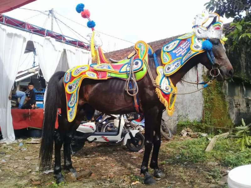 Kuda Renggong Surya Kencana - adasale