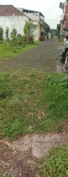 Tanah di lawang malang (Madewo apples) - adasale