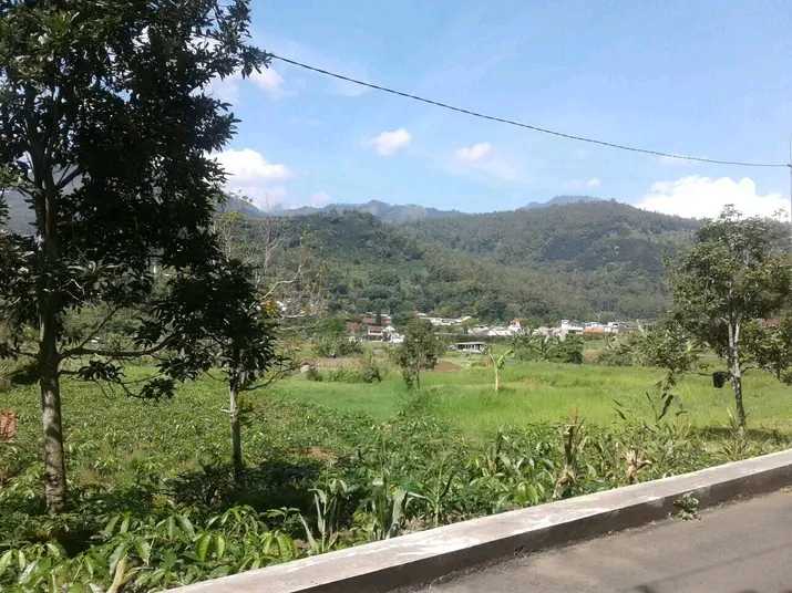 Tanah dekat school Al izah batu(Madewo apples) - adasale