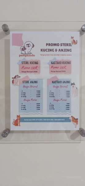 GROOMING CAT - adasale