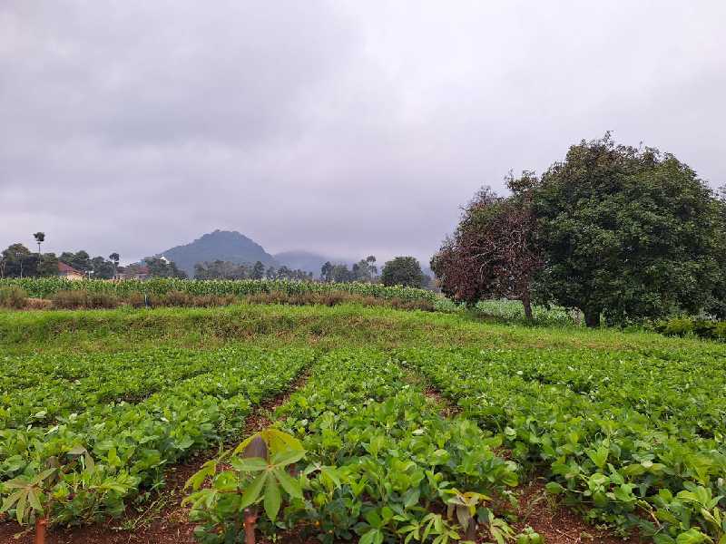 Kavling Murah SHM di Bandung Bukit Strawberry - adasale