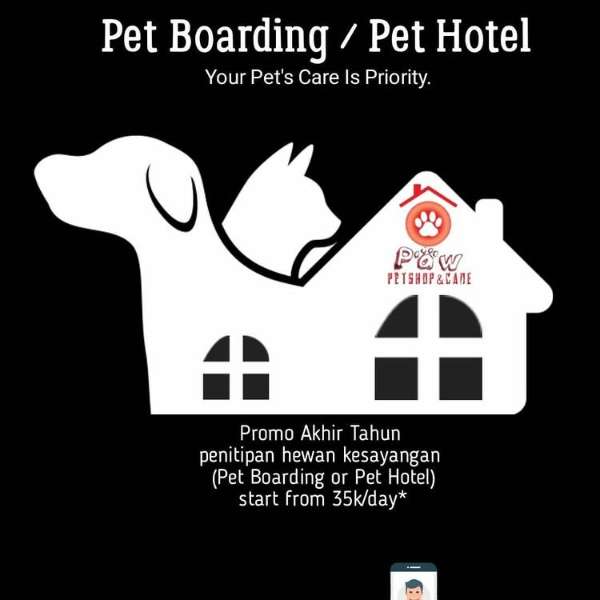 petshop di pakuwon city - adasale