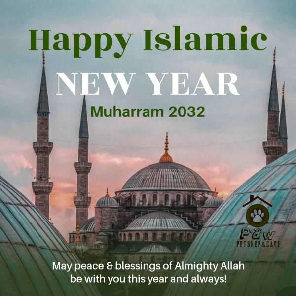 klinik hewan di surabaya - adasale