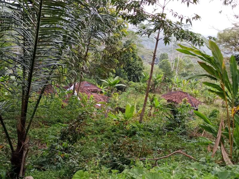 Jual tanah - adasale