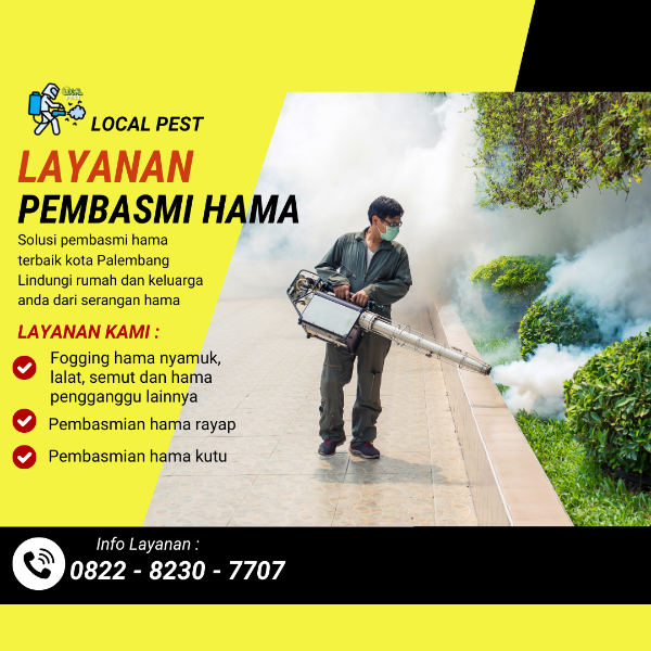 Jasa anti rayap dan fogging nyamuk kota palembang - adasale