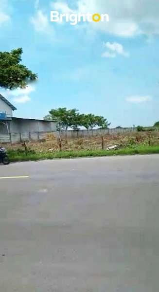 TANAH INDUSTRI TUBAN, Kecamatan Widang - adasale