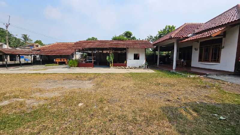 Rumah Tanah Investasi 2600 m Ciampea Bogor - adasale
