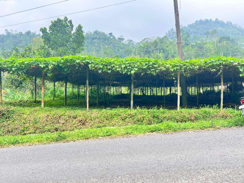 Tanah 1500mÂ² Siap Bangun Cafe Wisata Kemuning - adasale