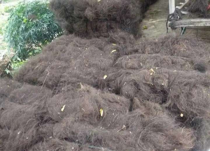 IJUK RESAPAN AIR - HARGA PER KG - adasale