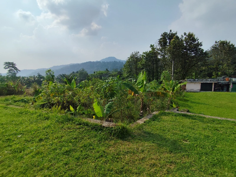 Tanah sebagai Harta Karun: Potensi Ekonomi dan Konservasi di Indonesia