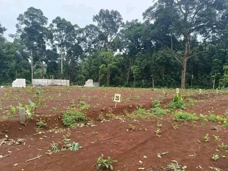 Tanah Kavling SUper Murah Cepoko Gunungpati - adasale