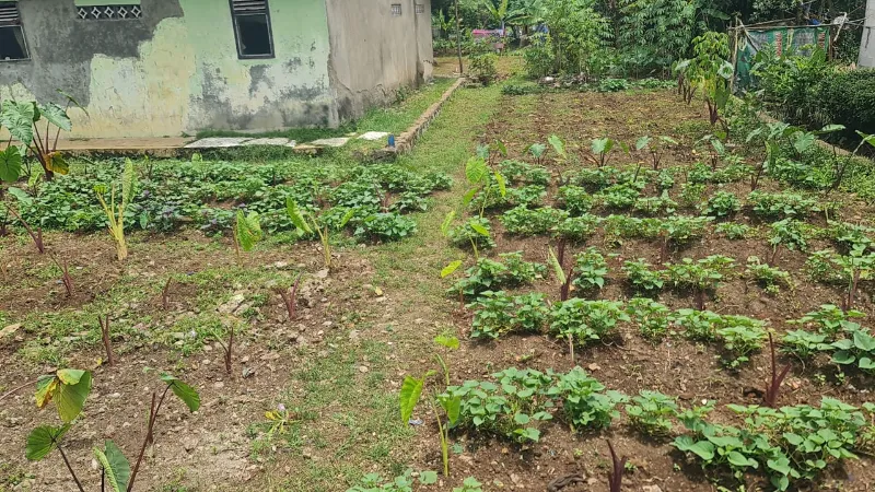 Tanah Dijual 200 m2 - adasale