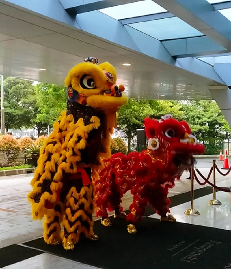 Barongsai Liong Kam Hok Nio - adasale