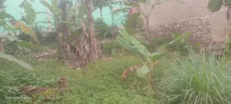 Tanah kosong buat villa dll. - adasale