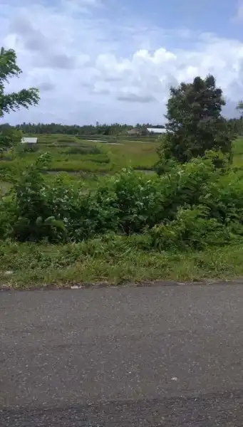 Tanah pinggir jalan jembrana dekat kota negara - adasale