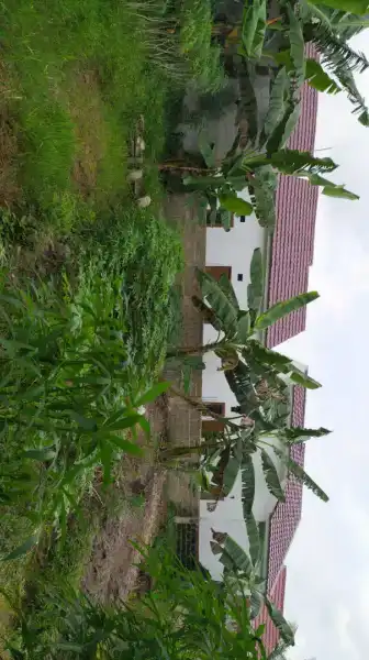 Tanah di talang jambe - adasale