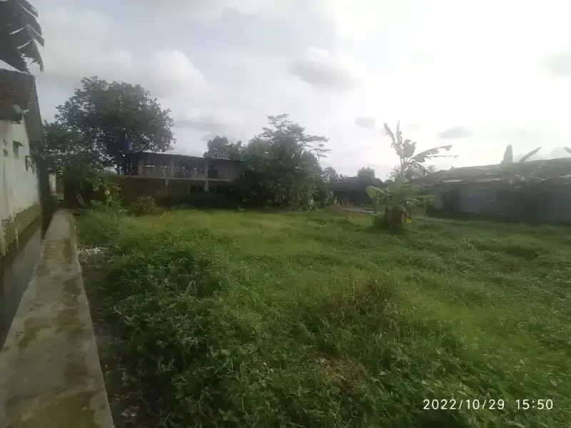 Di jual cepat tanah di talang jambe - adasale