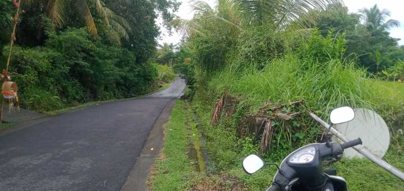 Tanah kosong dekat kota negara jembrana bali - adasale