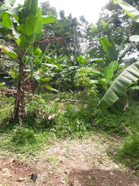 JUAL MURAH CEPAT - adasale