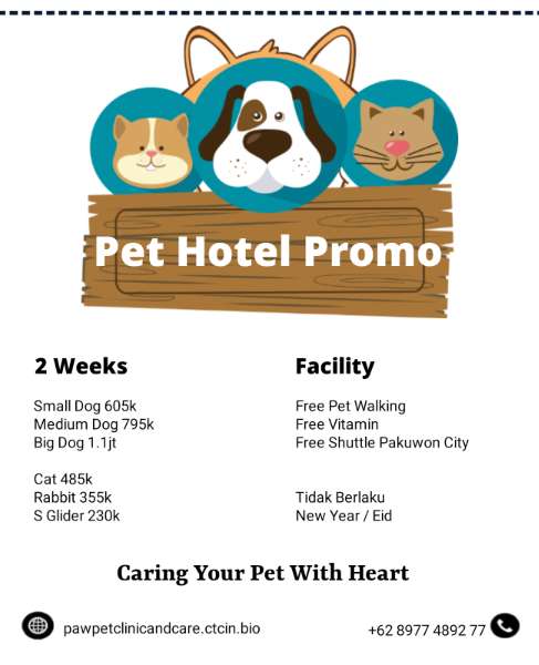 petshop di surabaya timur - adasale