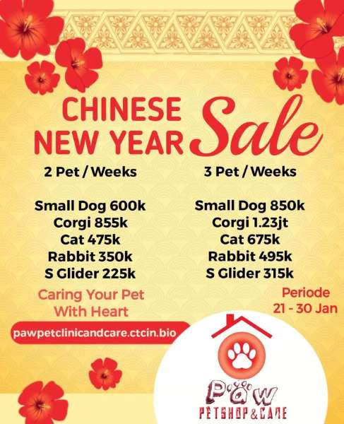 vaksin kucing di pakuwon city - adasale