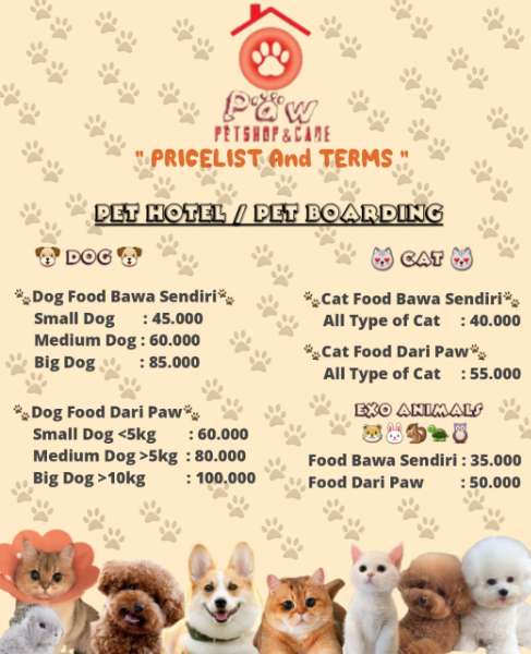 grooming anjing di pakuwon city - adasale