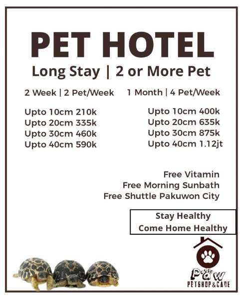 penitipan anjing di kenjeran - adasale