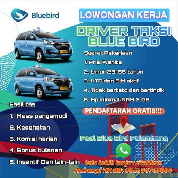 Driver Taksi Blue Bird  - adasale