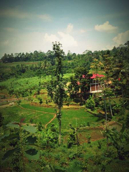 Dijual Tanah dan Villa - Parakan Salak, Sukabumi - adasale