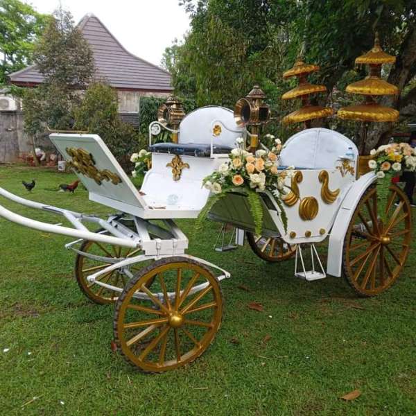 Sewa kuda tunggang, kuda delman dan kereta kuda - adasale