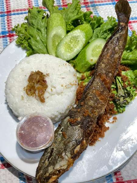 Dapur Ny. Dwik: Kelezatan Ayam Goreng Serundeng  - adasale