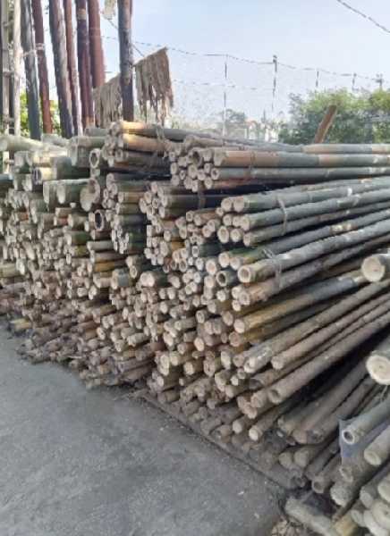 BAMBU STEGER - TIANG COR - DAK - adasale