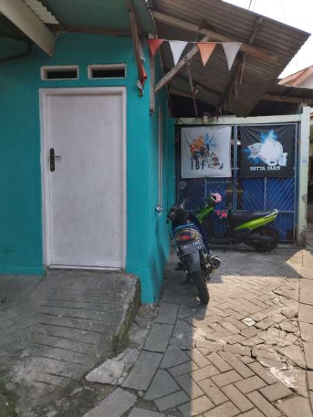 Jual Murah Rumah Siap Huni di Cipadu - adasale