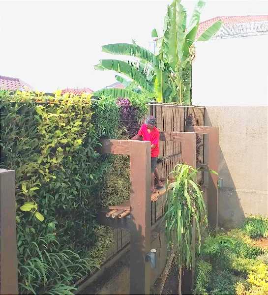 Vertikal garden  - adasale