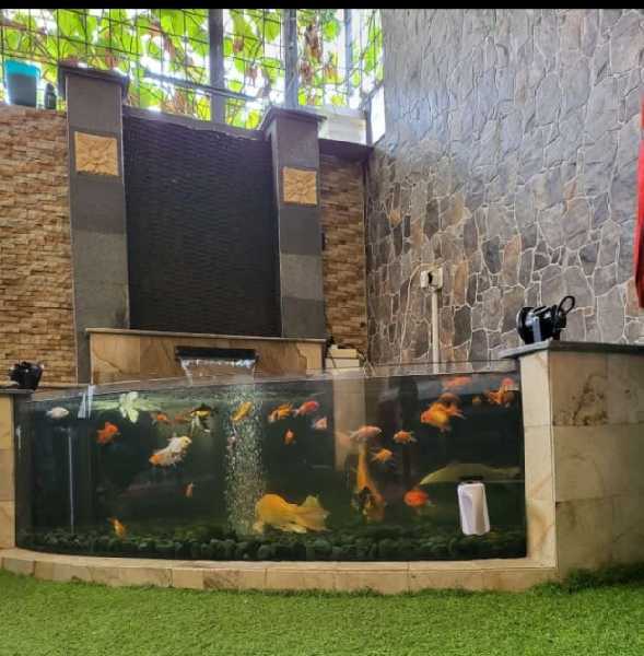 kolam minimalis - adasale