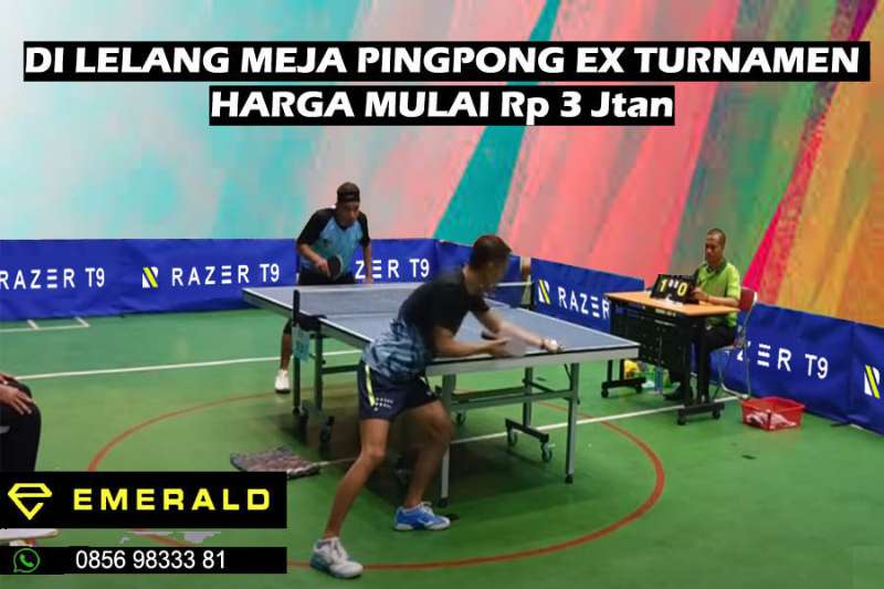 Tenis meja pingpong EX Turnamen - adasale