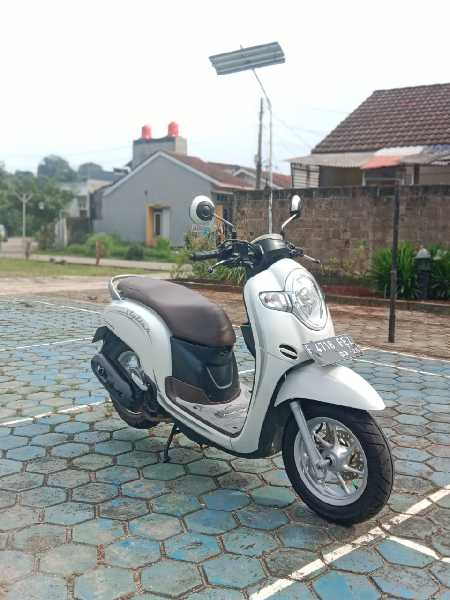 Honda Scoopy stylish - adasale