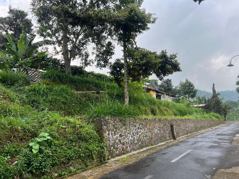 Tanah Belakang Pendopo Kopi Kemuning 305m - adasale