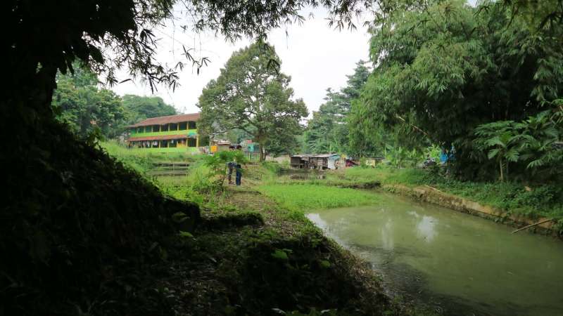 Jual Tanah  Empang Cihideung Hilir Ciampea Bogor - adasale