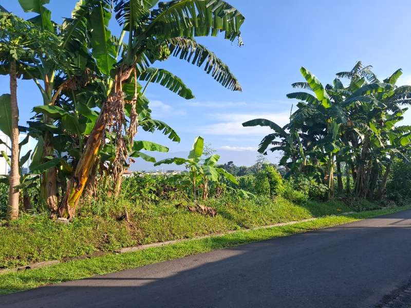 Dijual Tanah di Kebosari, Jember - adasale