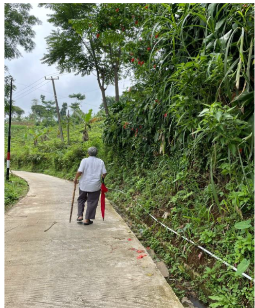 DIJUAL TANAH DAERAH LEMBANG BANDUNG - adasale