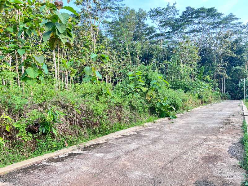 Tanah 2050m² Siap Bangun Utara Pasar Mojogedang - adasale
