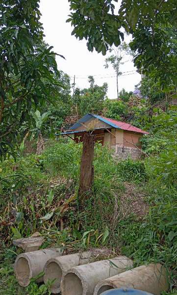 DIJUAL TANAH KEBUN - adasale