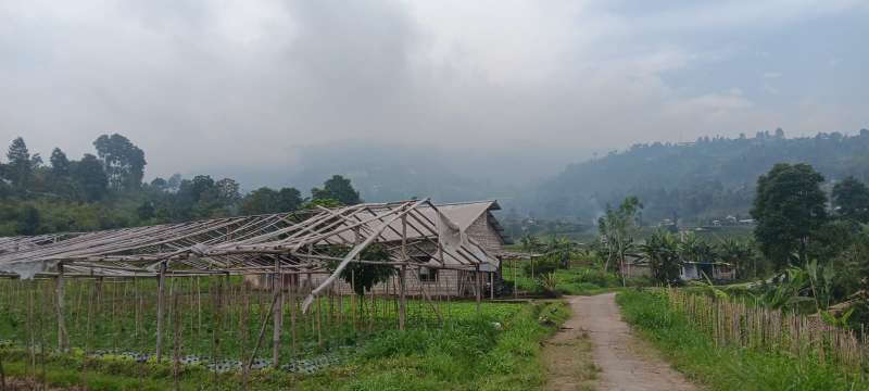  Tanah 1000m² Udara Dingin Wisata Ngargoyoso  - adasale