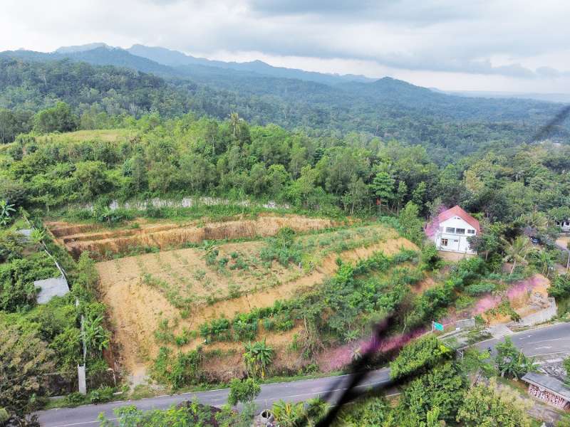 Jual Tanah di Gunung Kidul Yogyakarta - adasale