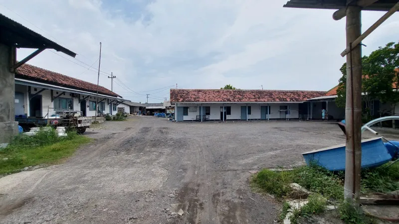 TAMBAK UDANG VANAME di SITUBONDO - adasale