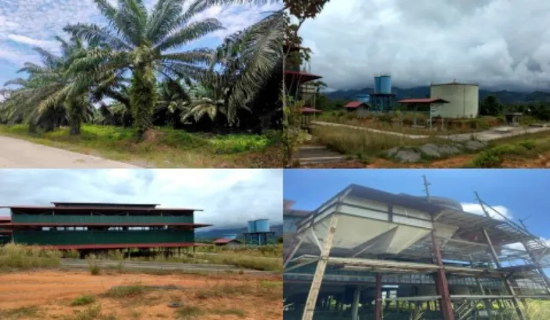 Kebun & Pabrik Kelapa Sawit, Mamuju Tengah - adasale