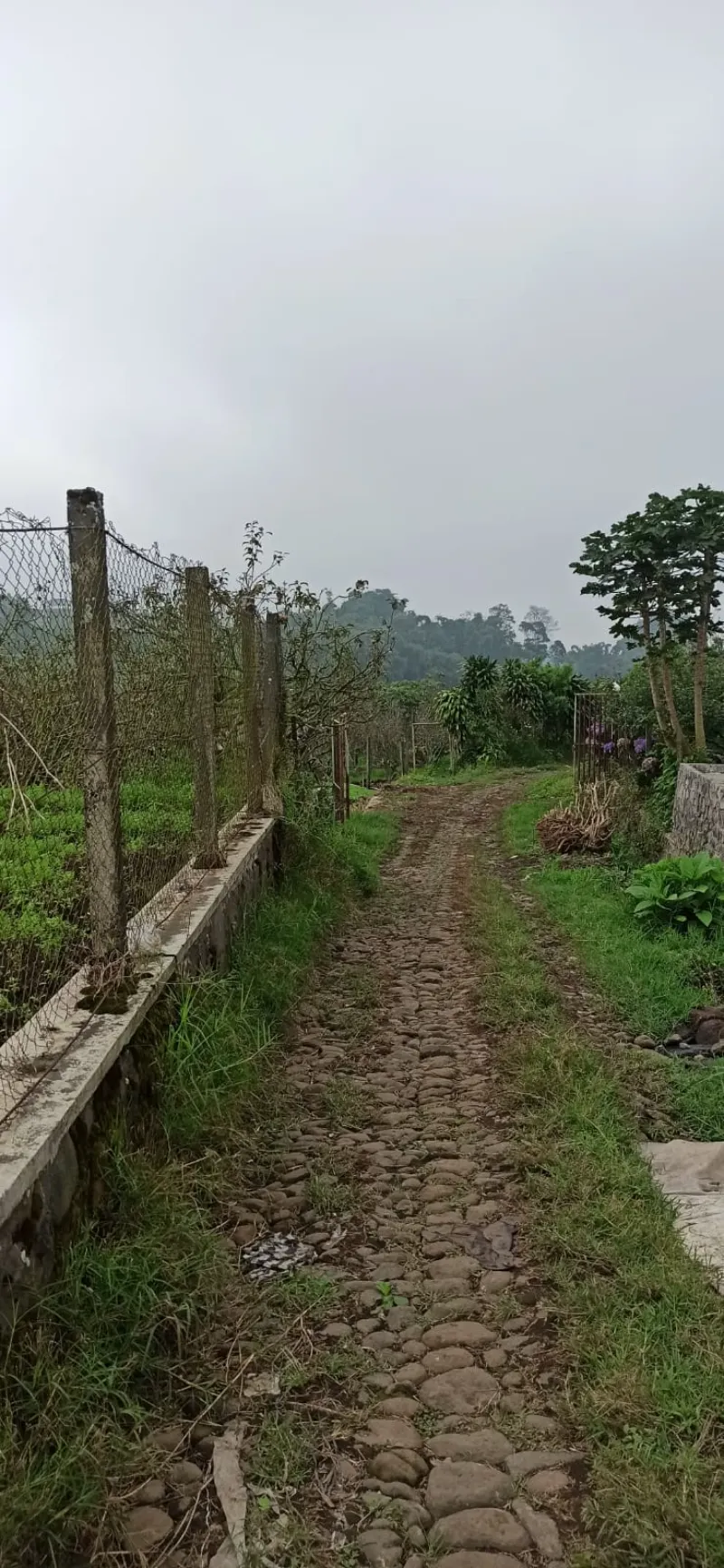 Dijual Tanah Luas di Bumiaji, Kota Batu - adasale