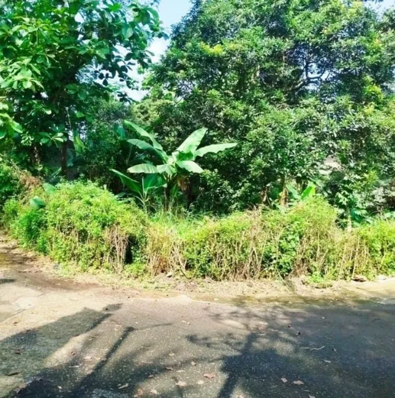 Dijual Tanah SHM Luas di Loji, Bogor Barat - adasale